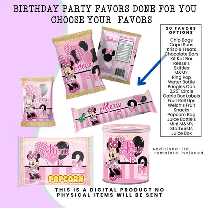 Pink Mouse Birthday Party Favors DFY