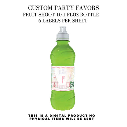 Pastel Carnival Birthday Party DFY Favor Bundle