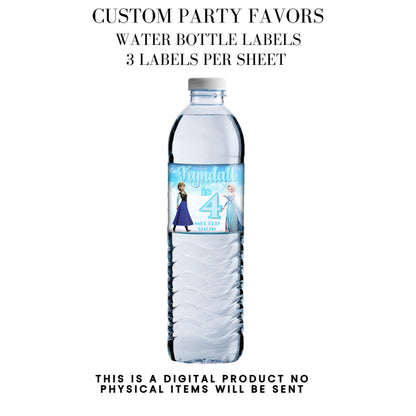 Frozen Birthday Party Favors DFY