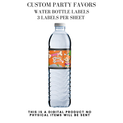 Pebbles & Dino Stone Age Birthday Party Favors DFY